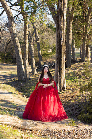 Lupeny Photography-8656