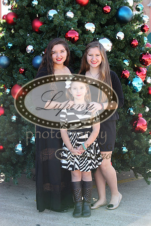 Lupeny Photography   (18 of 68)