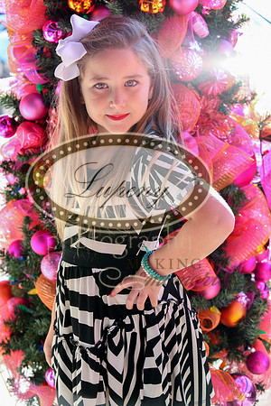 Lupeny Photography   (34 of 68)