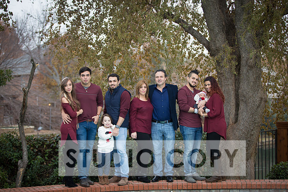 Lupeny Photography -3855