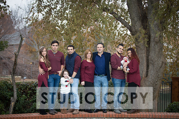 Lupeny Photography -3856