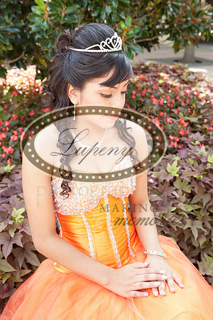 Lupeny Photography   (49 of 61)