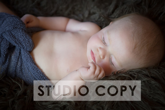 Lupeny Photography-