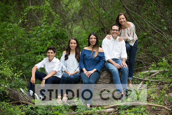 Lupeny Photography-8638