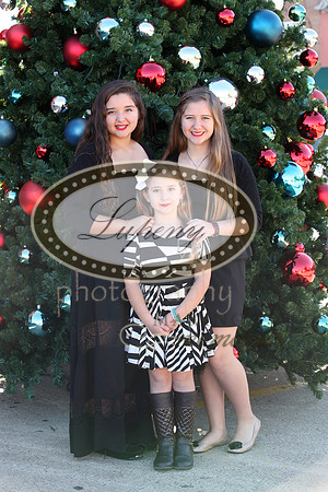 Lupeny Photography   (17 of 68)