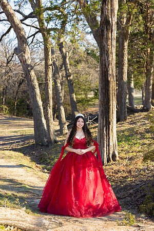Lupeny Photography-8653