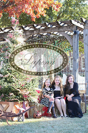 Lupeny Photography   (44 of 68)