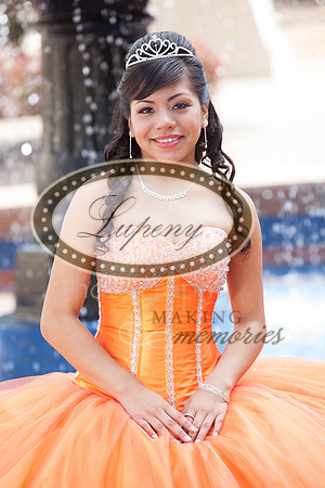 Lupeny Photography   (17 of 61)