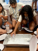IMG-20250617-WA0022