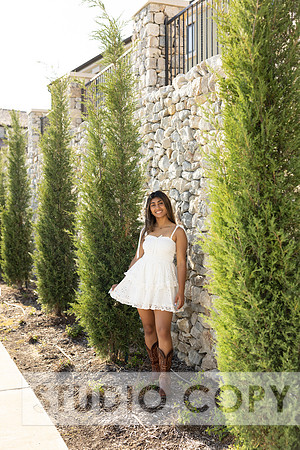 Lupeny Photography-8704