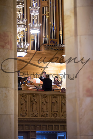 Lupeny Photography-5242