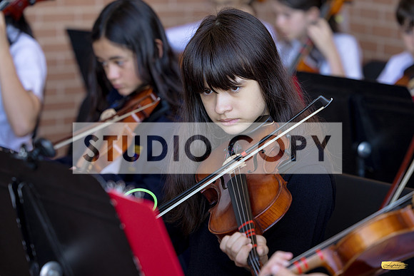 Lupeny photopgraphy-4789