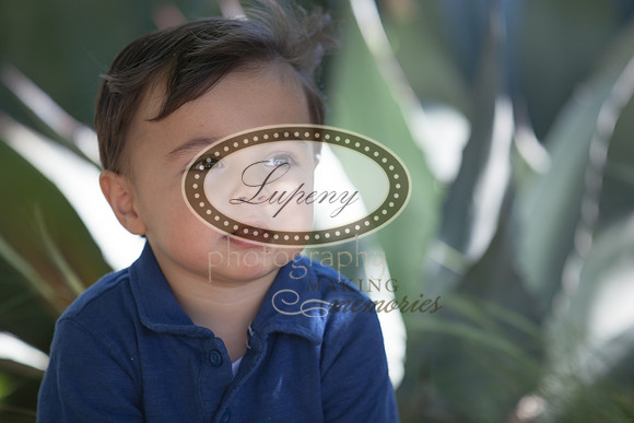 © Lupeny Photography-70
