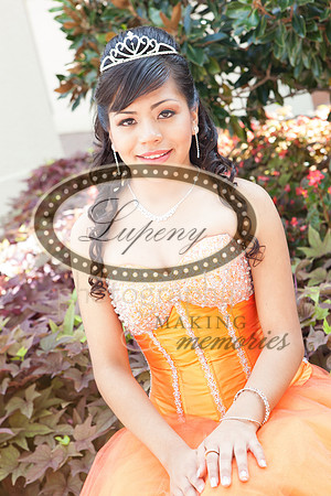 Lupeny Photography   (43 of 61)