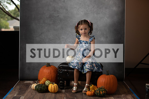 Lupeny Photography-6623