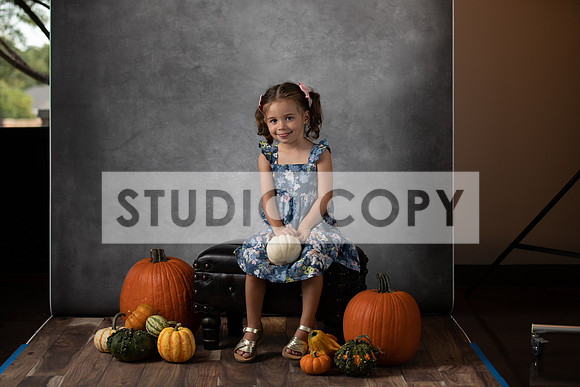 Lupeny Photography-6637