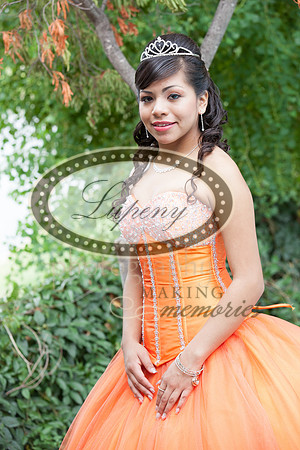 Lupeny Photography   (5 of 61)