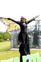 Lupeny Photography-4156