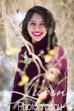 Lupeny Photography (58 of 80)