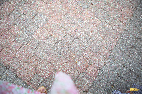 Lupeny Photography-9874