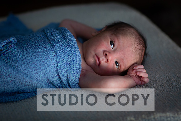 Lupeny Photography-6797