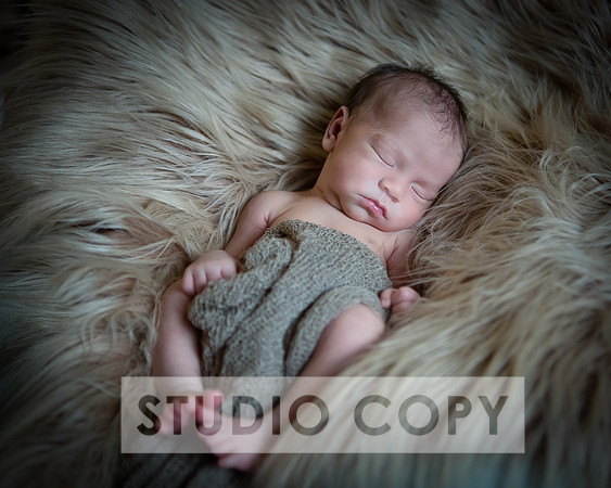 Lupeny Photography-