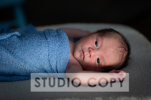 Lupeny Photography-6792