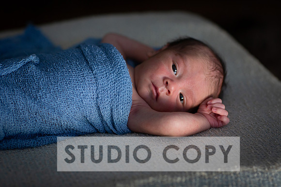 Lupeny Photography-6795