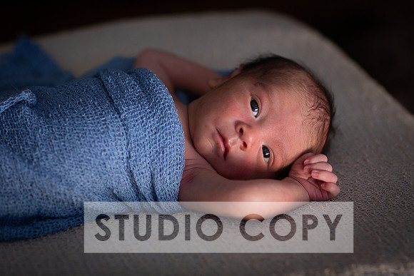 Lupeny Photography-6798