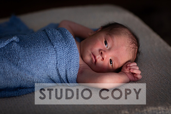 Lupeny Photography-6801