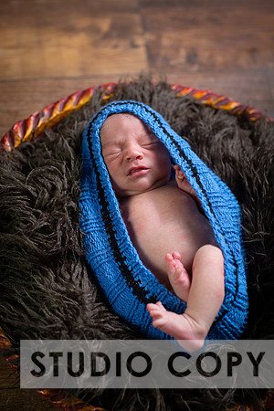 Lupeny Photography-6814