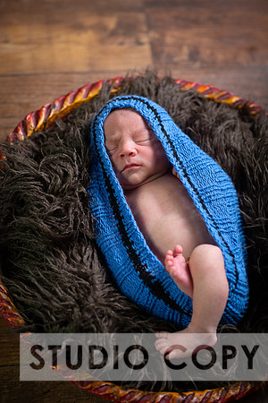 Lupeny Photography-6816