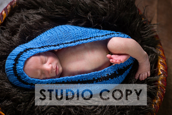 Lupeny Photography-6817