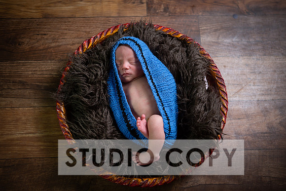 Lupeny Photography-6818