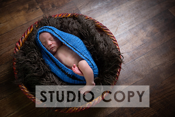Lupeny Photography-6819