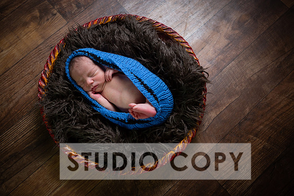 Lupeny Photography-6824