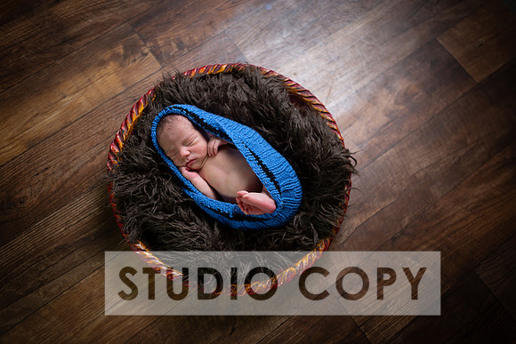 Lupeny Photography-6825