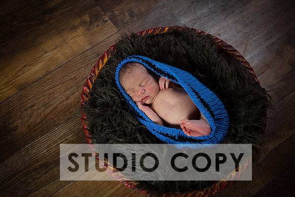 Lupeny Photography-6830