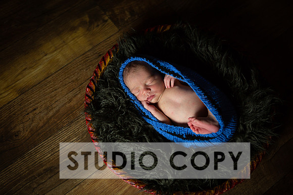 Lupeny Photography-6831