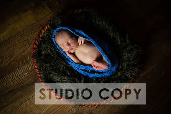 Lupeny Photography-6834