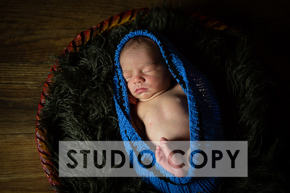 Lupeny Photography-6836