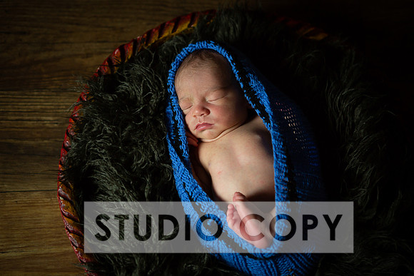 Lupeny Photography-6837