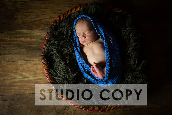 Lupeny Photography-6839