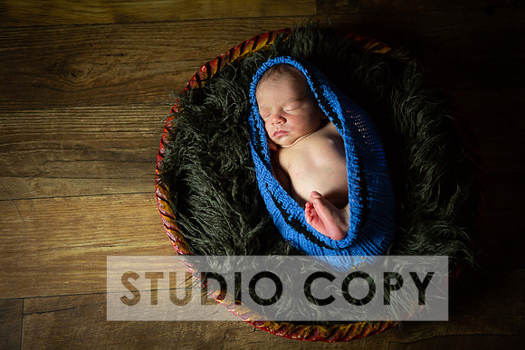 Lupeny Photography-6842