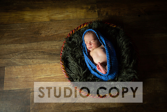 Lupeny Photography-6844