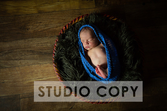 Lupeny Photography-6847