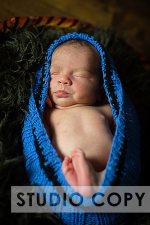 Lupeny Photography-6852