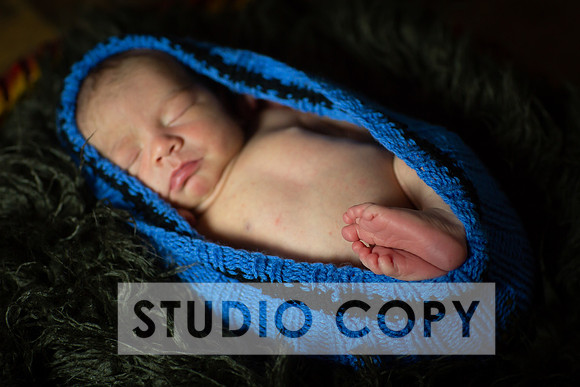 Lupeny Photography-6856