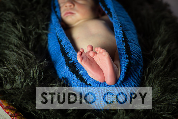 Lupeny Photography-6863