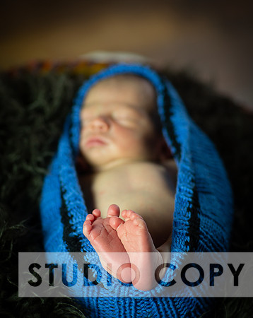 Lupeny Photography-6866